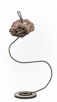 /album/galerie-de-photos/gerard-sculpture-details-web-537-jpg/